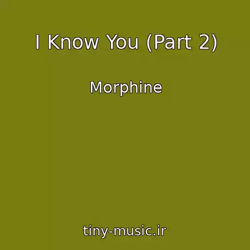کاور آهنگ I Know You (Part 2) از Morphine