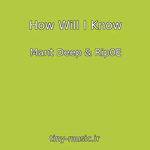 کاور آهنگ How Will I Know از Mant Deep & Rip0E