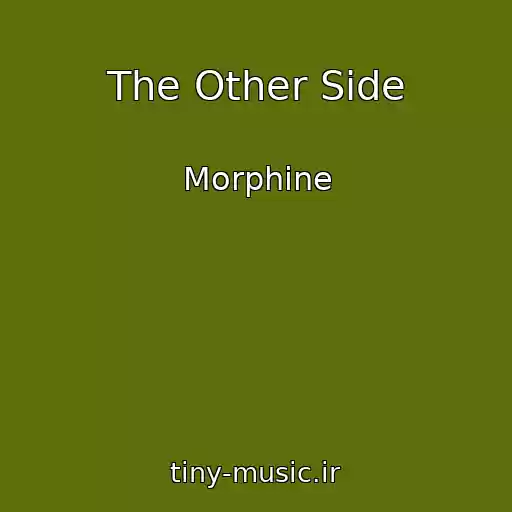 کاور آهنگ The Other Side از Morphine