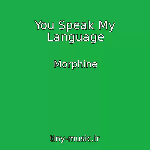 کاور آهنگ You Speak My Language از Morphine