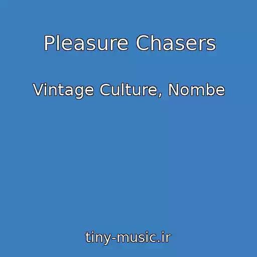 کاور آهنگ Pleasure Chasers از Vintage Culture, Nombe