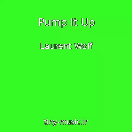 کاور آهنگ Pump It Up از Laurent Wolf