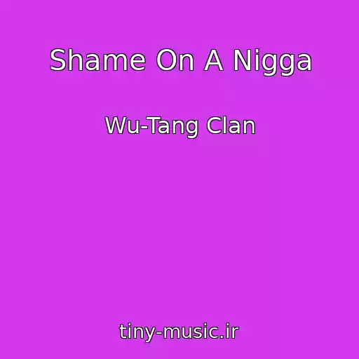 کاور آهنگ Shame On A Nigga از Wu-Tang Clan