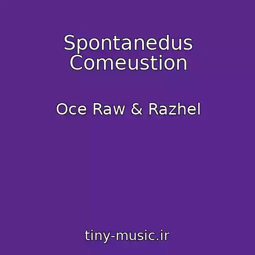 کاور آهنگ Spontanedus Comeustion از Oce Raw & Razhel