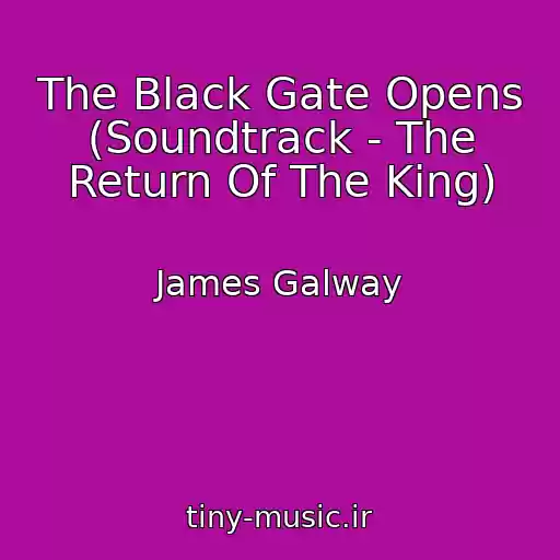کاور آهنگ The Black Gate Opens (Soundtrack - The Return Of The King) از James Galway