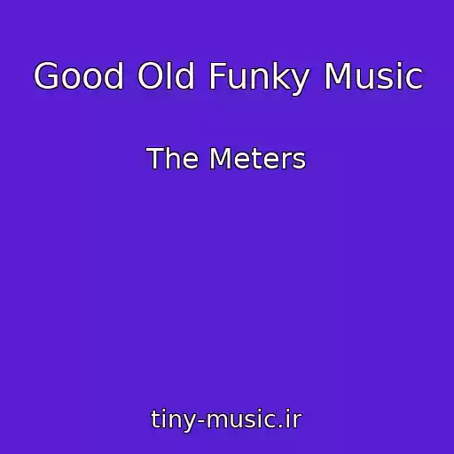 کاور آهنگ Good Old Funky Music از The Meters