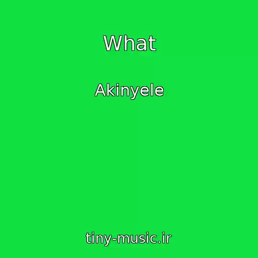 کاور آهنگ What از Akinyele