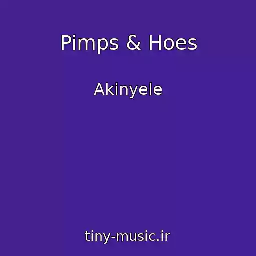 کاور آهنگ Pimps & Hoes از Akinyele