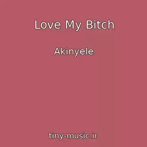 کاور آهنگ Love My Bitch از Akinyele