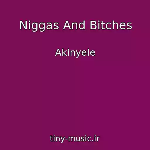 کاور آهنگ Niggas And Bitches از Akinyele