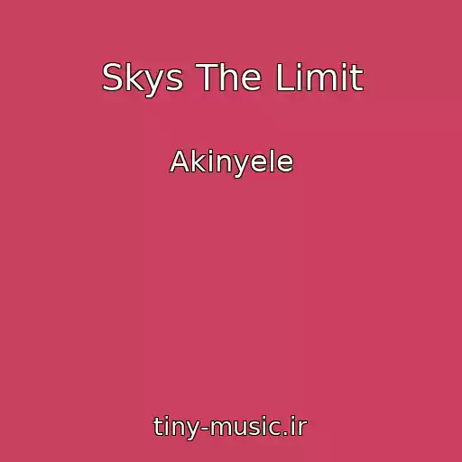 کاور آهنگ Skys The Limit از Akinyele