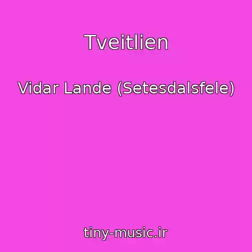 کاور آهنگ Tveitlien از Vidar Lande (Setesdalsfele)