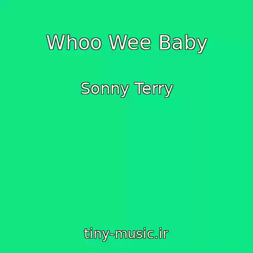 کاور آهنگ Whoo Wee Baby از Sonny Terry