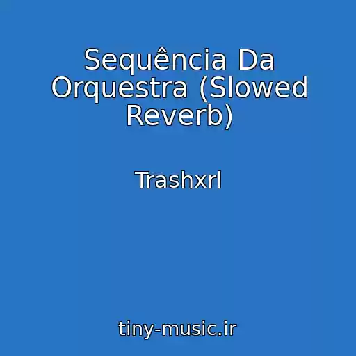کاور آهنگ Sequência Da Orquestra (Slowed Reverb) از Trashxrl