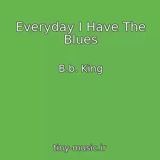 کاور آهنگ Everyday I Have The Blues از B.b. King
