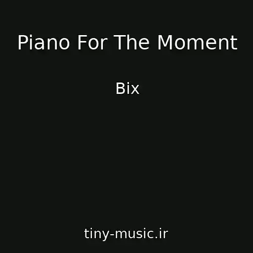 کاور آهنگ Piano For The Moment از Bix