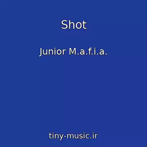 کاور آهنگ Shot از Junior M.a.f.i.a.