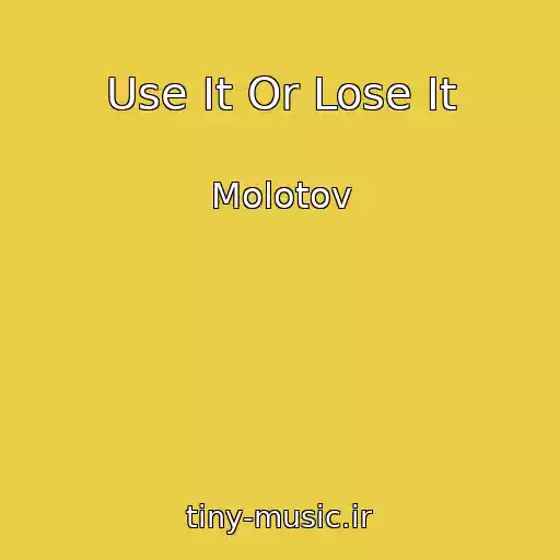 کاور آهنگ Use It Or Lose It از Molotov