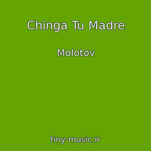 کاور آهنگ Chinga Tu Madre از Molotov