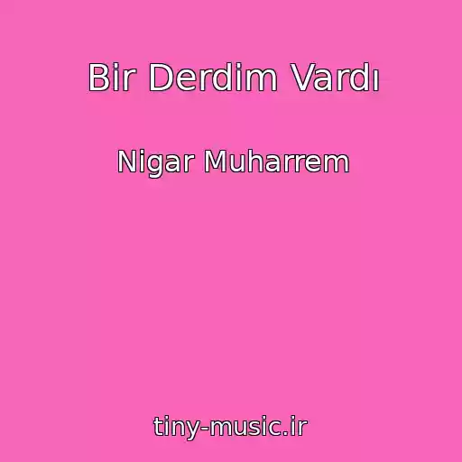 کاور آهنگ Bir Derdim Vardı از Nigar Muharrem