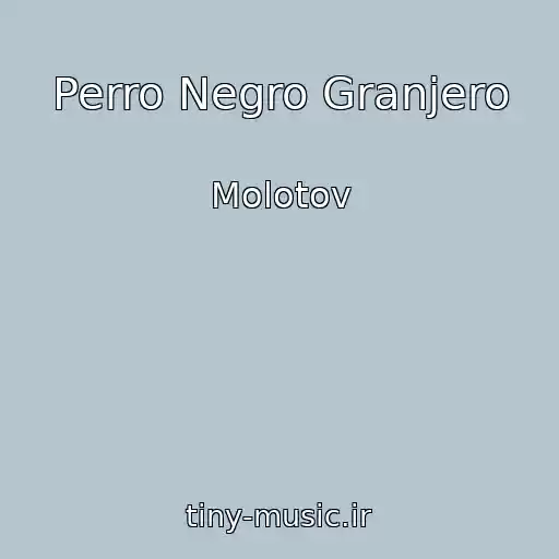کاور آهنگ Perro Negro Granjero از Molotov