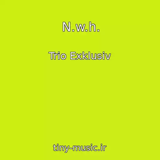 کاور آهنگ N.w.h. از Trio Exklusiv