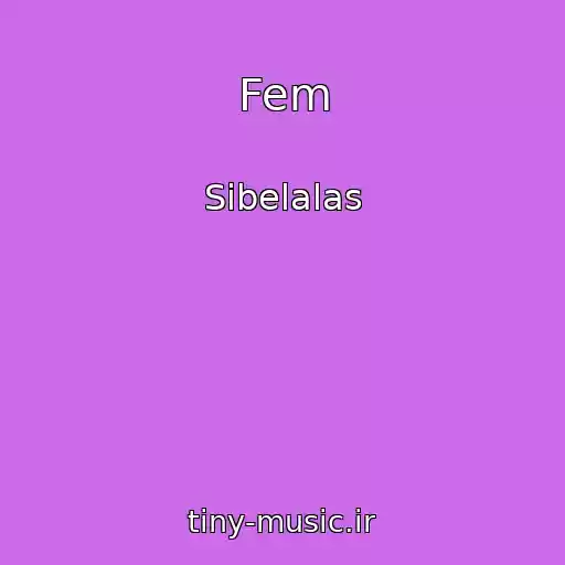 کاور آهنگ Fem از Sibelalas