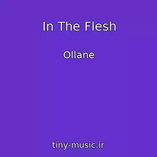 کاور آهنگ In The Flesh از Ollane