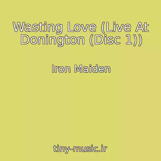 کاور آهنگ Wasting Love (Live At Donington (Disc 1)) از Iron Maiden