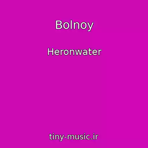 کاور آهنگ Bolnoy از Heronwater