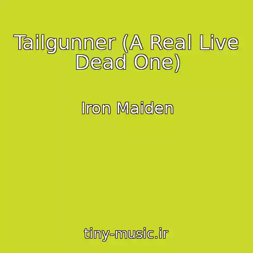 کاور آهنگ Tailgunner (A Real Live Dead One) از Iron Maiden