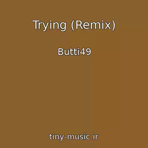 کاور آهنگ Trying (Remix) از Butti49