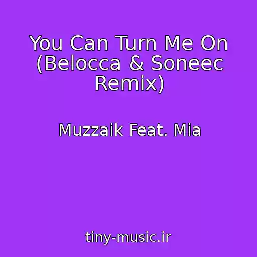کاور آهنگ You Can Turn Me On (Belocca & Soneec Remix) از Muzzaik Feat. Mia
