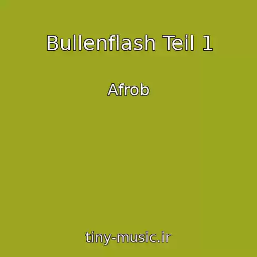 کاور آهنگ Bullenflash Teil 1 از Afrob
