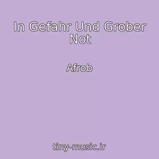 کاور آهنگ In Gefahr Und Grober Not از Afrob