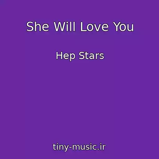 کاور آهنگ She Will Love You از Hep Stars