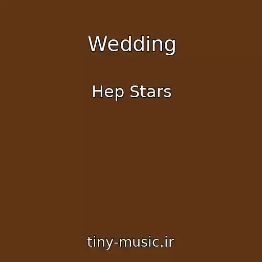 کاور آهنگ Wedding از Hep Stars