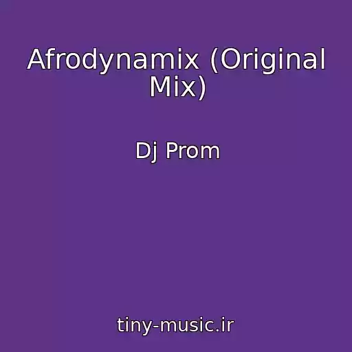 کاور آهنگ Afrodynamix (Original Mix) از Dj Prom