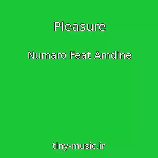 کاور آهنگ Pleasure از Numaro Feat Amdine