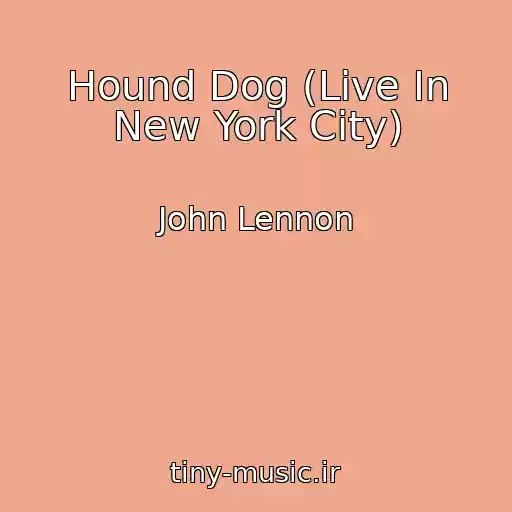 کاور آهنگ Hound Dog (Live In New York City) از John Lennon