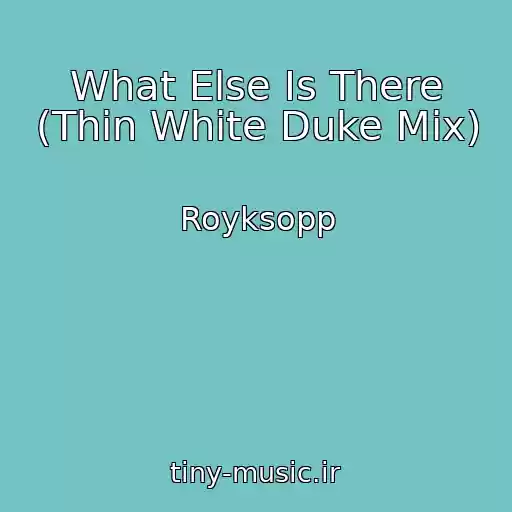 کاور آهنگ What Else Is There (Thin White Duke Mix) از Royksopp