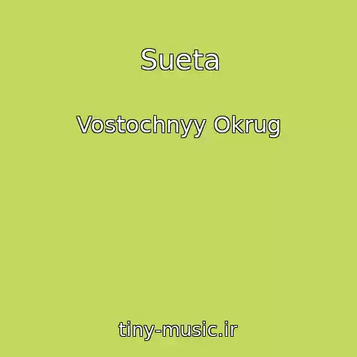 کاور آهنگ Sueta از Vostochnyy Okrug