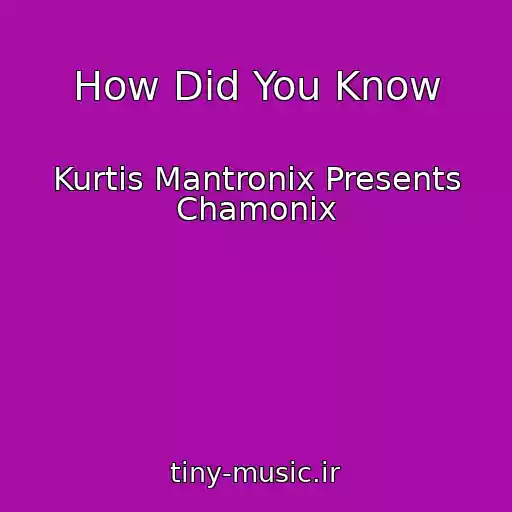 کاور آهنگ How Did You Know از Kurtis Mantronix Presents Chamonix