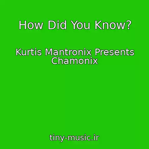 کاور آهنگ How Did You Know? از Kurtis Mantronix Presents Chamonix