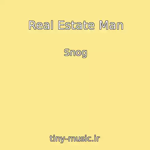 کاور آهنگ Real Estate Man از Snog