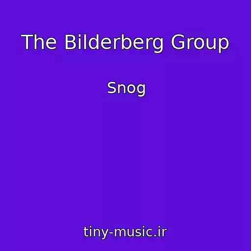 کاور آهنگ The Bilderberg Group از Snog