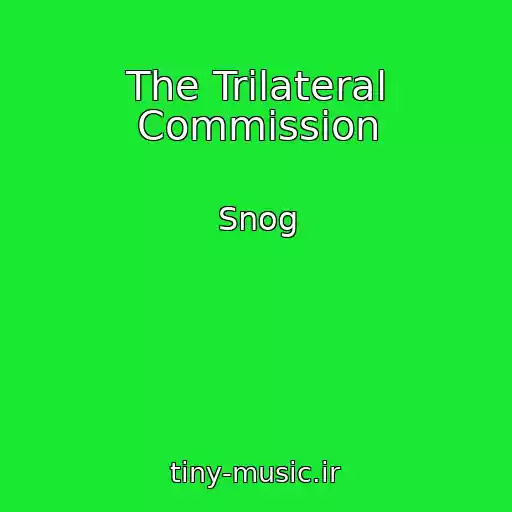کاور آهنگ The Trilateral Commission از Snog