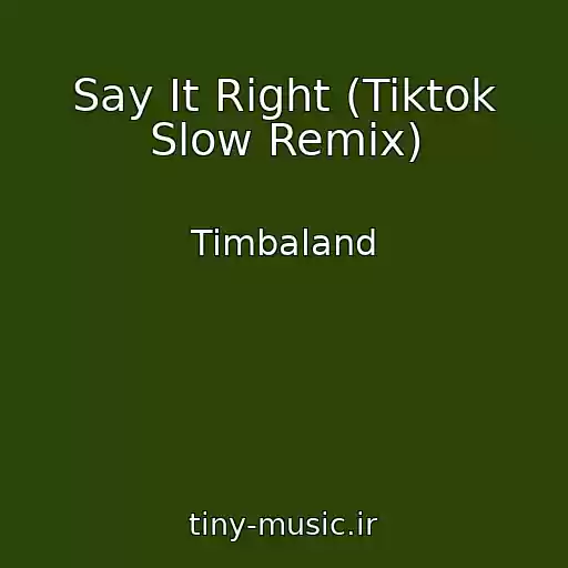 کاور آهنگ Say It Right (Tiktok Slow Remix) از Timbaland