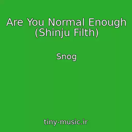 کاور آهنگ Are You Normal Enough (Shinju Filth) از Snog
