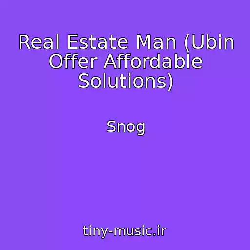 کاور آهنگ Real Estate Man (Ubin Offer Affordable Solutions) از Snog